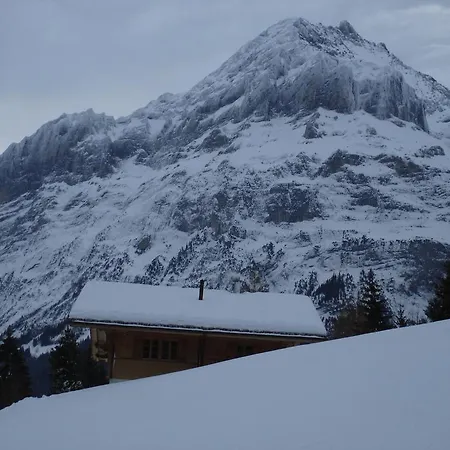 Διαμέρισμα Chalet Am Taellenbach *