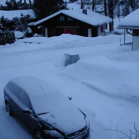 Chalet Am Taellenbach Apartamento Grindelwald